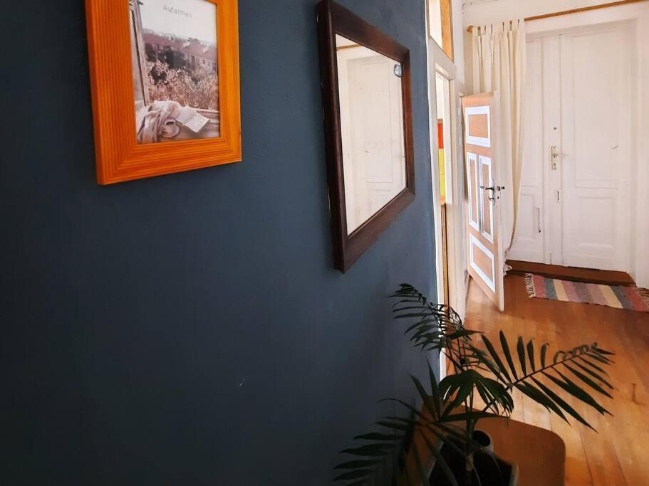 Altbau Charme & Mittendrin ชตราลซุนด์ ภายนอก รูปภาพ