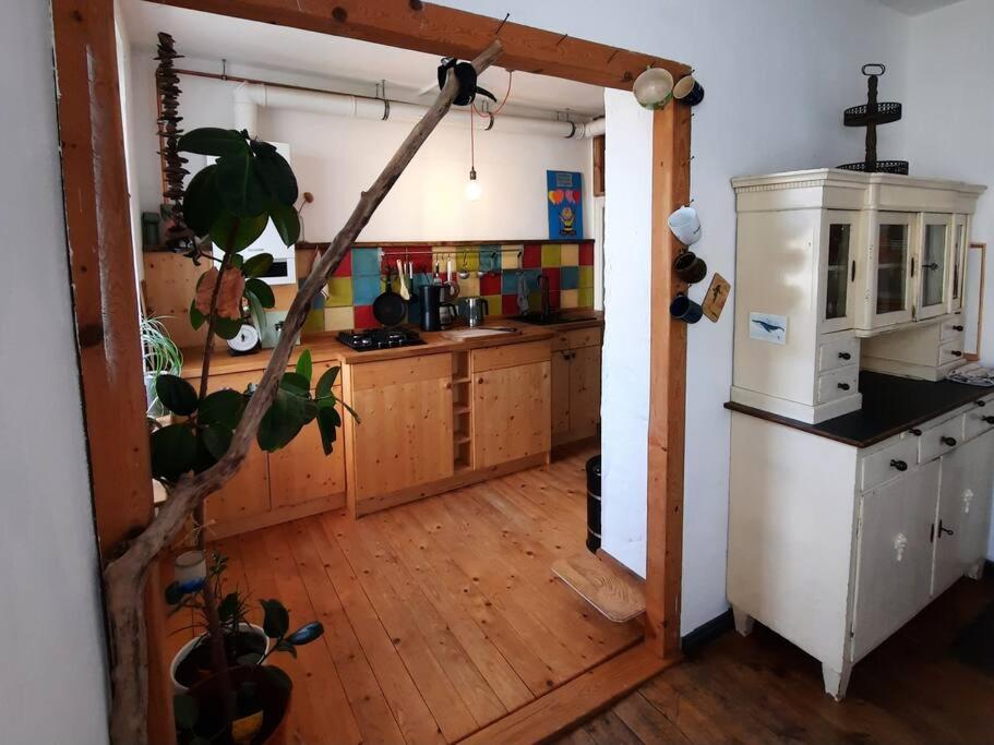 Altbau Charme & Mittendrin ชตราลซุนด์ ภายนอก รูปภาพ